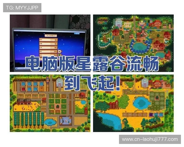星露谷游戏机如何获得最全方法指南及实用技巧